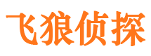 绛县市调查公司